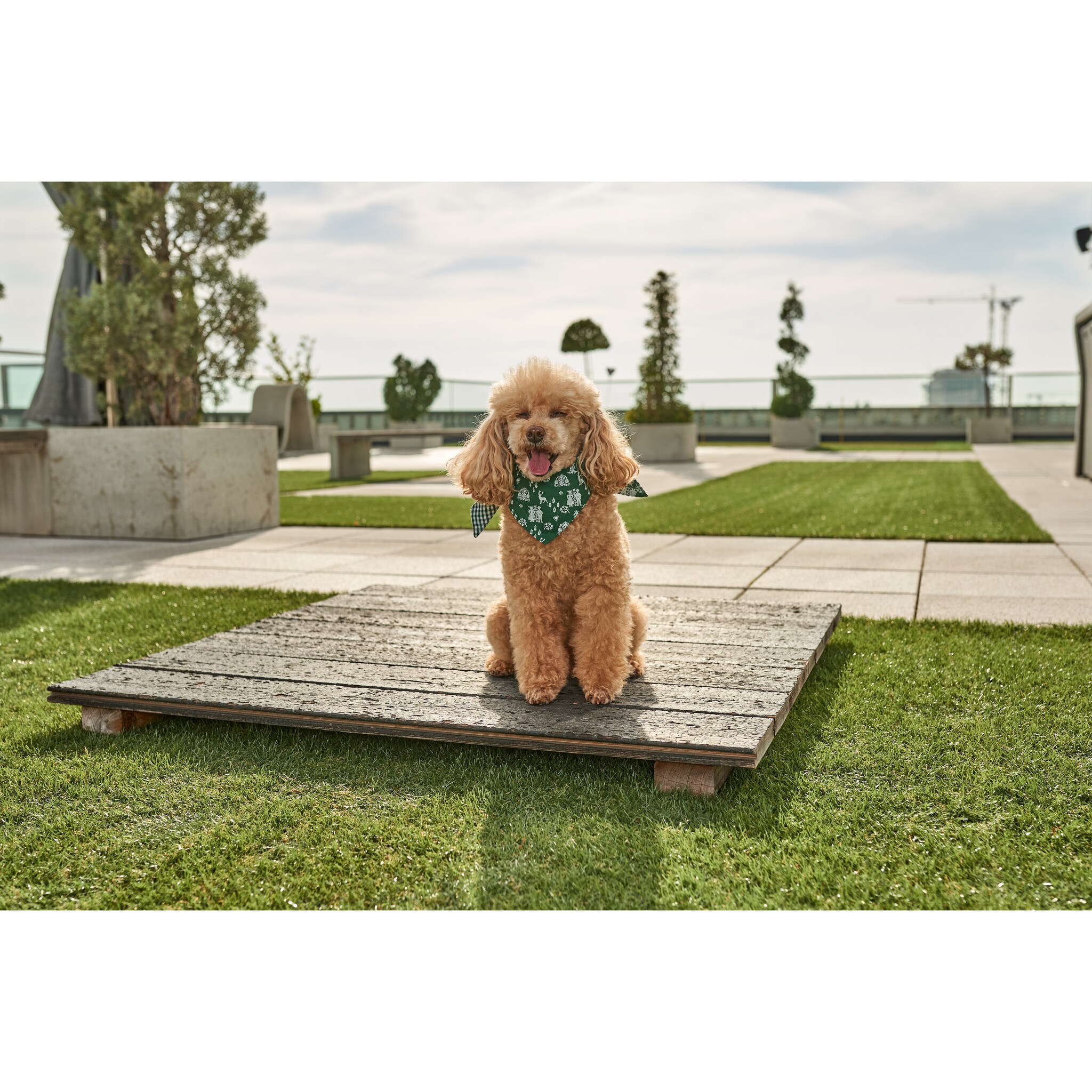 Elegant Little Tail Hundehalstuch – Bedruckt Mit Thanksgiving-Motiv, Waschbar, Verstellbar, Für Kleine & Große Hunde
